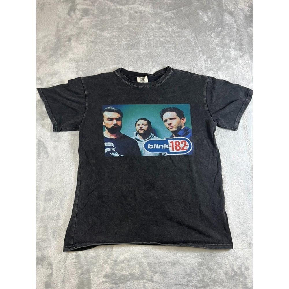 Y2K Era Blink 182 It_s Always Sunny In Philadelphia Shirt Medium Comfort Colors